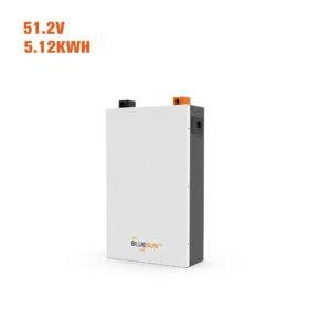 Sieninis 51,2 V 100 A ličio jonų akumuliatorius su pažangia BMS sistema